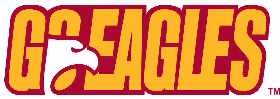 Winthrop Eagles 1995-2017 Alternate Logo iron on transfers for T-shirts